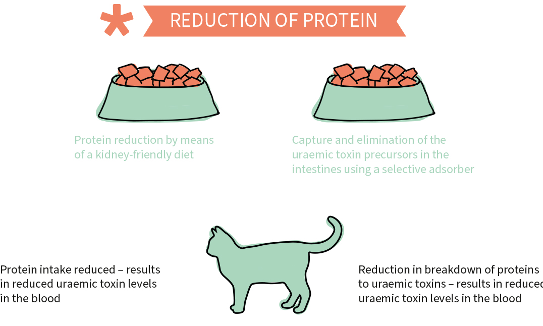 Proteine reduction