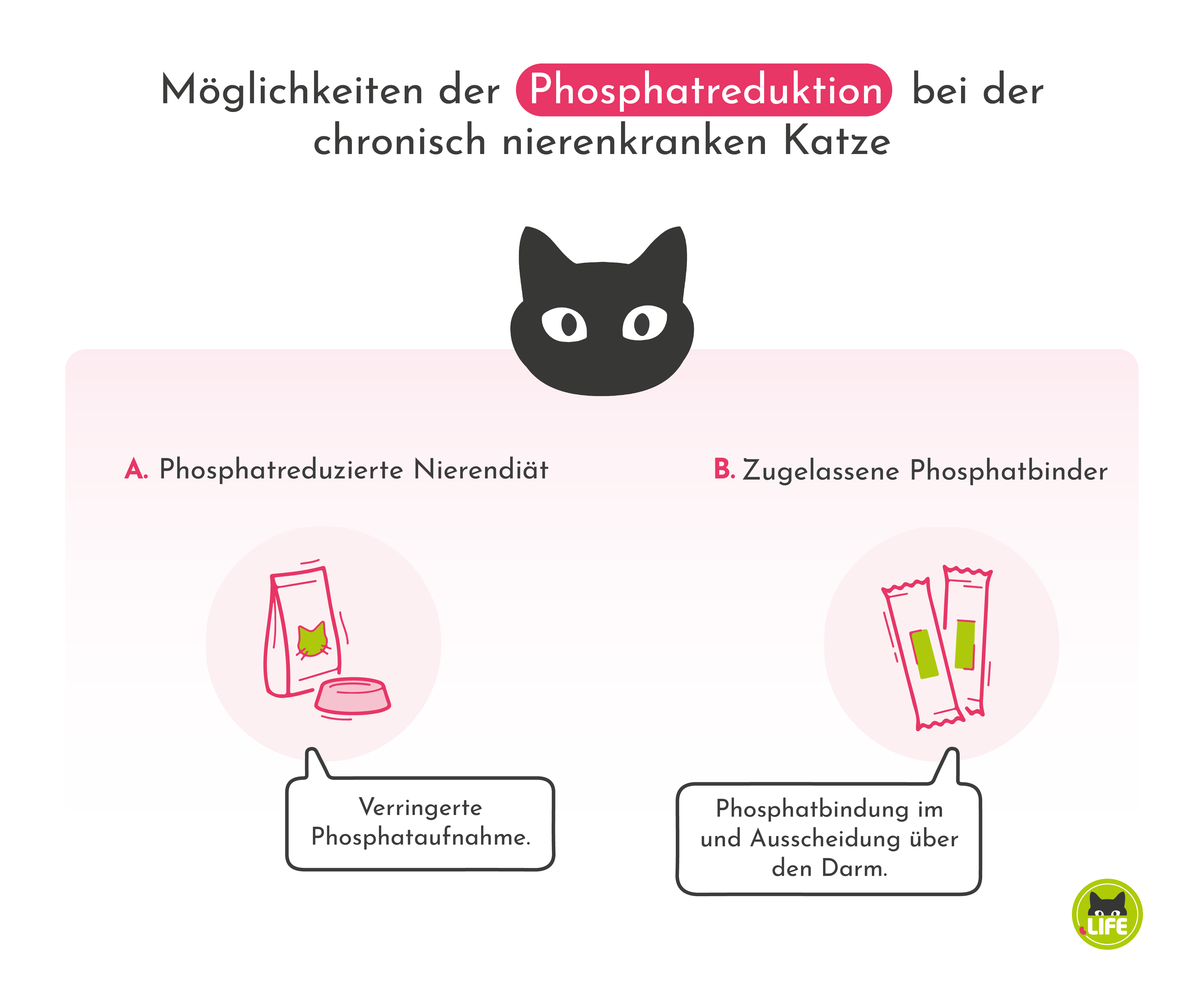 Möglichkeiten der Phosphatreduktion bei der chronisch nierenkranken Katze.